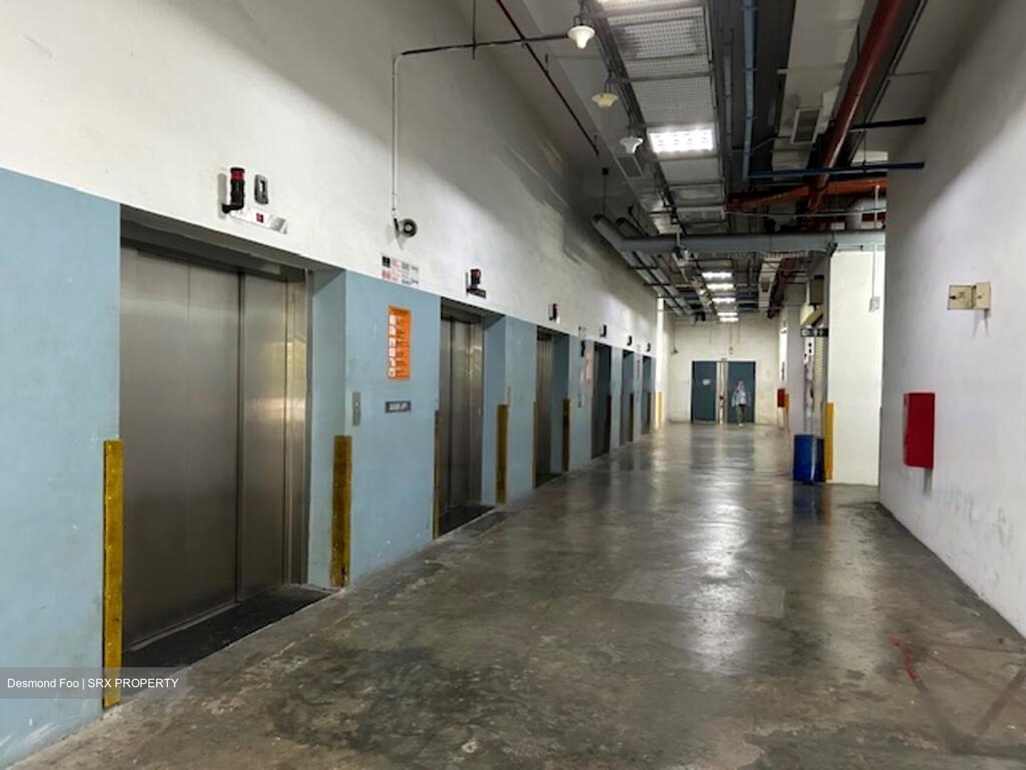 Serangoon North Avenue 5 (D19), Factory #455253561